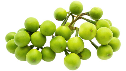 Green Turkey Berry Isolated , Small Pea Eggplant Bunch , Asian Cooking Ingredient Herb ,

