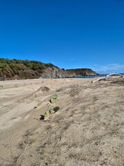 Sinemorets_Bulgaria, Butamyata beach, sunny day on wild coast of the Black Sea.
