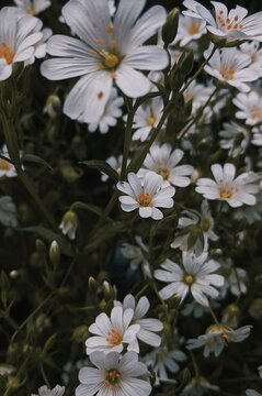 Processed with VSCO with c6 preset