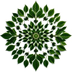 Intricate Arrangement of Green Leaves Forming a Symmetrical Pattern
