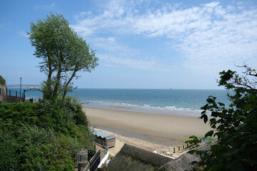 Naklejka premium View out to the ocean from Shanklin Chine Historic Gorge natural scenic tourist attraction. Isle of Wight.