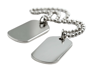 Two shiny, silver rectangular tags, linked by a beaded chain, presented on a black background