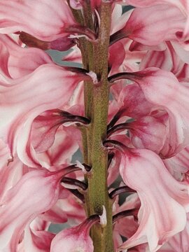 Processed with VSCO with c8 preset