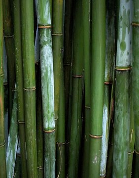 Processed with VSCO with wwf preset