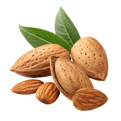 Whole Almonds with Shells and Green Leaves – Fresh Organic Nuts Isolated on White Background