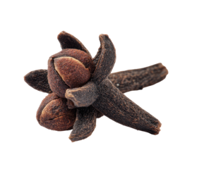 Close-up of a fragrant clove spice, displaying a textured bulb and elongated, dried stems against black