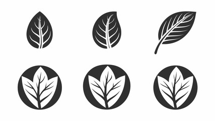 Collection of stylized leaves and leaf designs in circles arranged on a white background surface | editable eps vectors silhouette