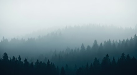 Misty Pine Forest Layers Under Foggy Sky