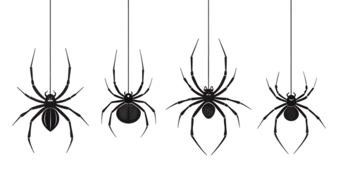 Creepy crawly designs: Four spooky spiders hanging by a thread, perfect for Halloween decorations, haunted houses, and eerie designs for a chilling effect.