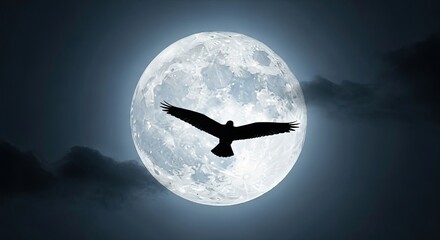 Silhouette of a bird flying against a full moon and cloudy night sky