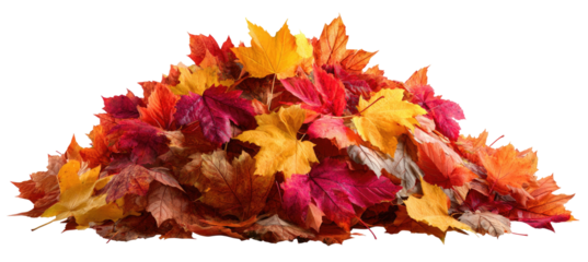 A colorful pile of autumn leaves, showcasing hues of yellow, orange, and red against a black background