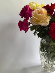 Colorful garden roses in a vase