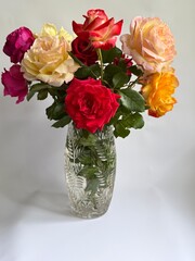 Colorful garden roses in a vase