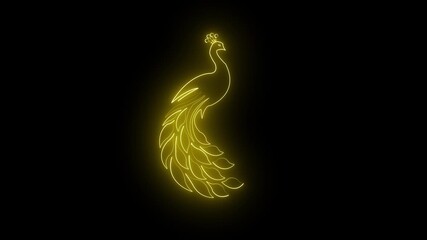 Abstract glowing neon peacock line art icon animation on black background - Powered by Adobe