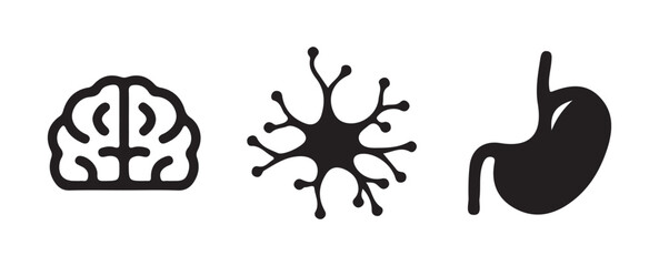 Brain Network Vector