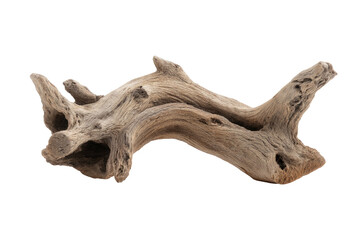 A detailed studio shot of a piece of driftwood isolated against a black background