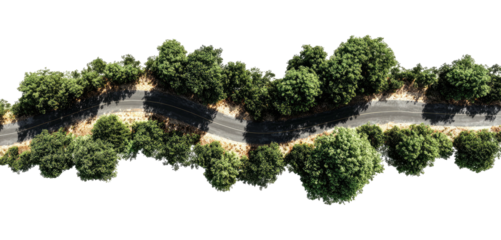 Bird's eye view of a winding road lined by dense green trees and sandy patches