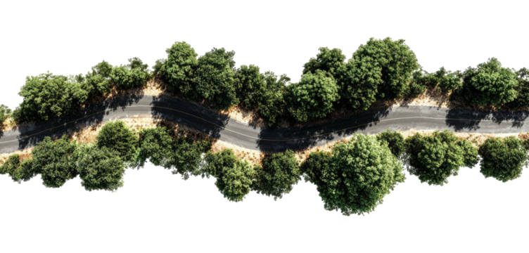 Bird's eye view of a winding road lined by dense green trees and sandy patches