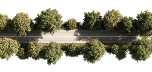 Overhead shot of a road lined with trees on either side, shadowed by the sun