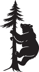Bear climbing a pine tree silhouette isolated on white background