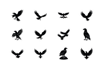 Collection of silhouetted birds of prey in various dynamic poses and flight styles