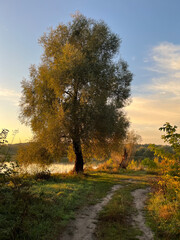 Autumn landscape of a sunrise country road and a lake