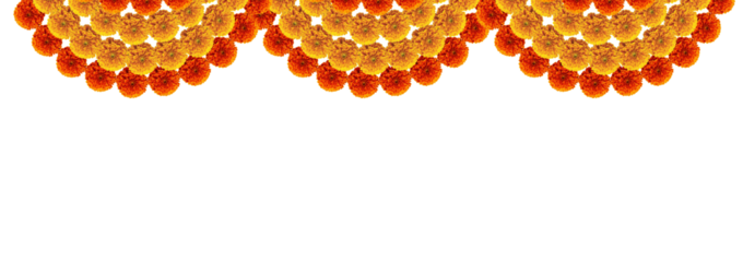 Marigold flowers orange and red round design decoration element