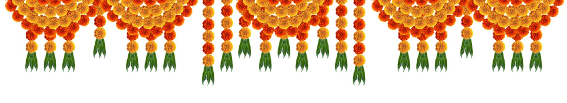 Marigold flowers decorative design element for decoration