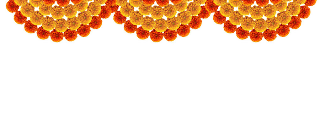 Marigold flowers orange and red round design decoration element