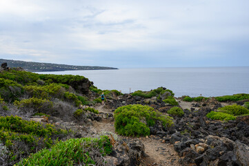 Naklejka premium Pantelleria isola Italiana 