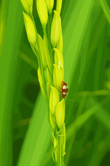 A close-up digital illustration of a rice plant in its early stage of growth, featuring vibrant green rice buds and a small brown insect with white spots resting on one of the buds. The background is 