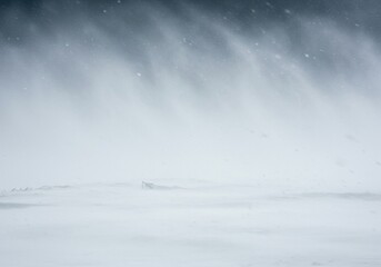 An intense blizzard rages across a desolate winter landscape, strong winds whipping heavy snow into a whiteout. Extreme cold envelops the scene ,snowdrift ,frosted ,blizzard