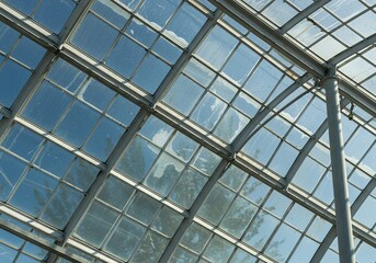 Close-up view of clear greenhouse glass panels reflecting sunlight, emphasizing transparency, light transmission, and structural elements ,light transmission ,wall ,panel
