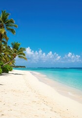 Obraz premium Idyllic tropical beach scene with pristine white sand, crystal-clear turquoise ocean, and swaying palm trees under a bright blue sky ,exotic ,peaceful ,coastline
