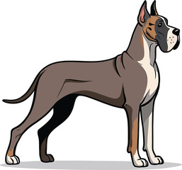Obraz premium Cute cartoon a illustrator vector Great Dane