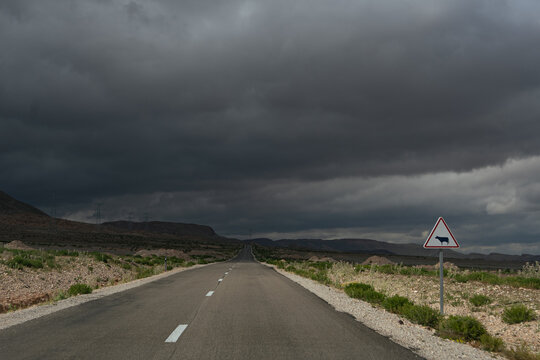 Highway drive to dark clouds. Cow sign on the side.