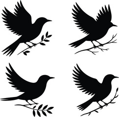 Flying Birds Vector Silhouette Pack