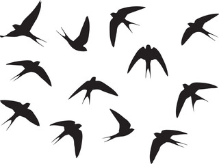 Naklejka premium Silhouette of a flock of birds flying dynamically, freedom and motion concept, black and white vector illustration