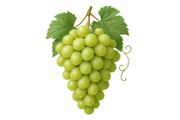 Green grapes bunch hanging from a vine, displaying fresh fruit with leaves and tendrils, on transparent background