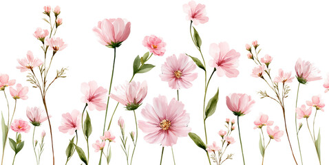 Delicate watercolor seamless border with pink cosmos and wildflowers.