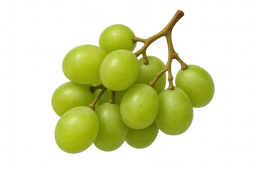 Fresh green grapes bunch showing healthy eating, dieting and fresh organic fruit concepts on transparent background