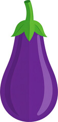 Eggplant Icon Isolated on White Background