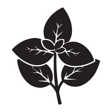 black basil leaves on white background clip art preview