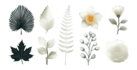 Isolated Botanical Elements in Various Shapes and Styles on Transparent Background