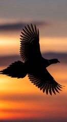 Silhouette of a Bird in Flight Against a Colorful Sunset Sky.
