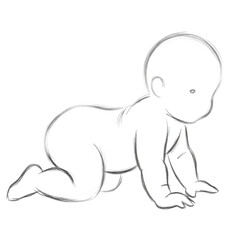 Sketch of a Baby Crawling on White Background untitled vector
