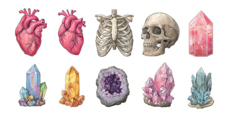Colorful Illustrations of Anatomy and Crystals with Transparent Background