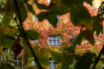 Autumn in Berlin
