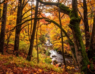 Obraz premium A scenic view of a river winding through a vibrant forest during the fall season. The trees are filled with golden foliage