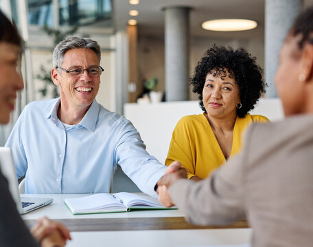 Portrait of  a young businesswoman and businessman shaking hands introducing each other during a meeting or conference in the office
